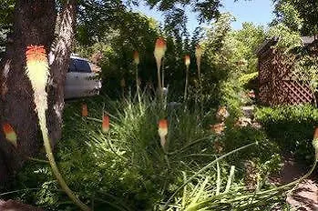 Oak Creek Terrace * Sedona